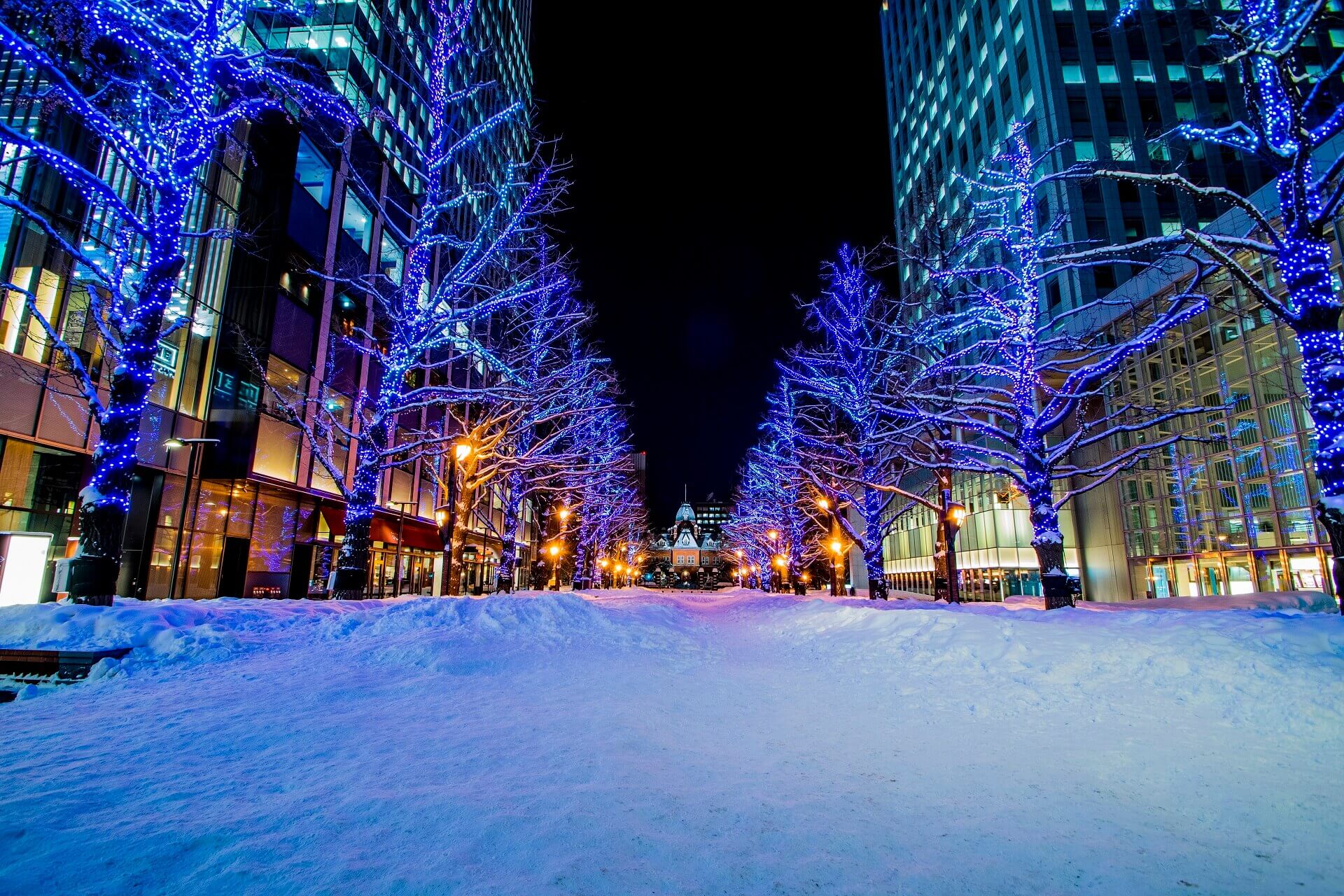 岡山から札幌へ行き撮影した北海道庁旧本庁舎の写真（クレジット/ウォーターマークの挿入前)