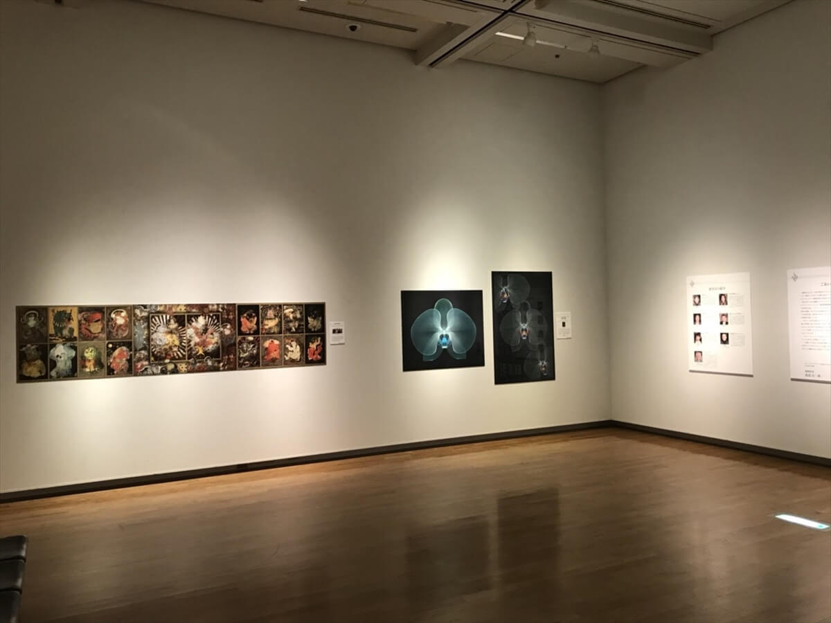 展示されていた静止画部門の受賞作品の写真①