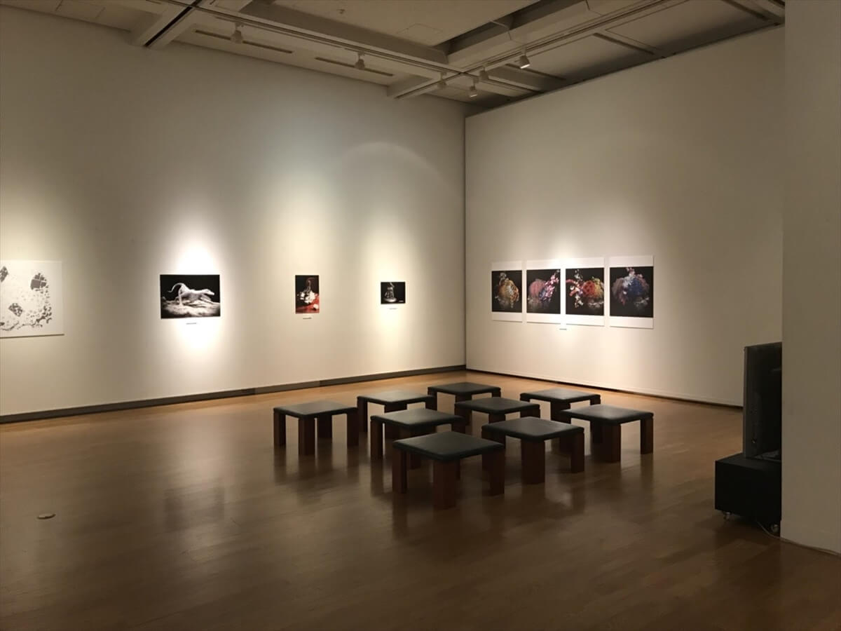 展示されていた静止画部門の受賞作品の写真②