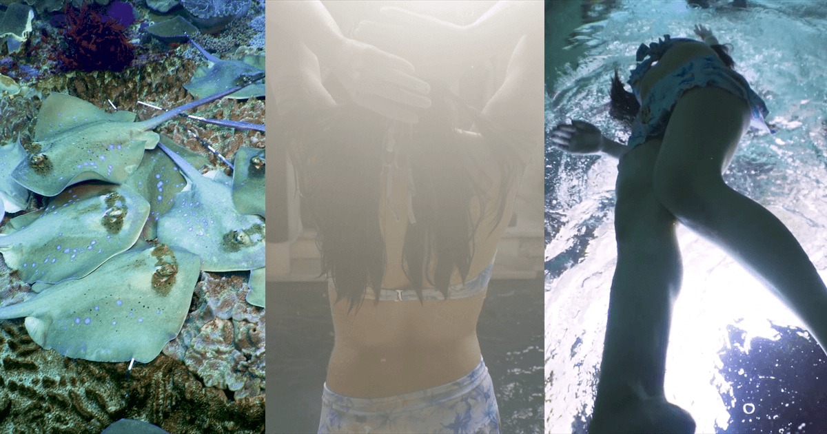 制作実績：バリ島サンプル水中映像のサムネイル画像